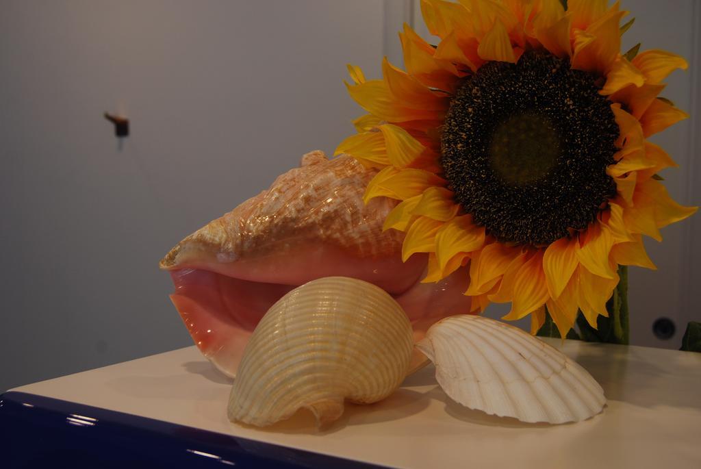 Residence Abruzzo Resort Tortoreto Dış mekan fotoğraf